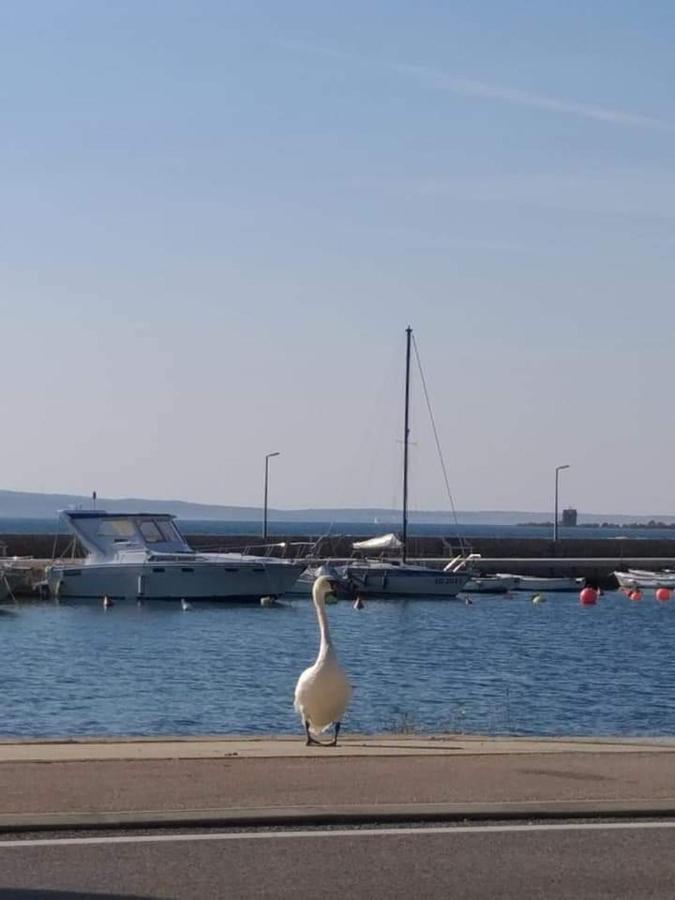 Holiday Home Zeljko,Marija & Jakov Starigrad Paklenica Εξωτερικό φωτογραφία