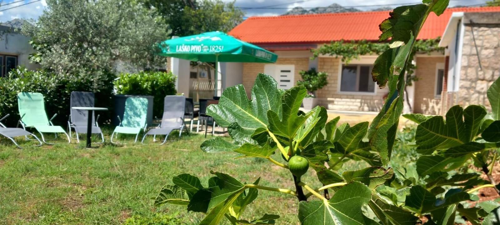 Holiday Home Zeljko,Marija & Jakov Starigrad Paklenica Εξωτερικό φωτογραφία